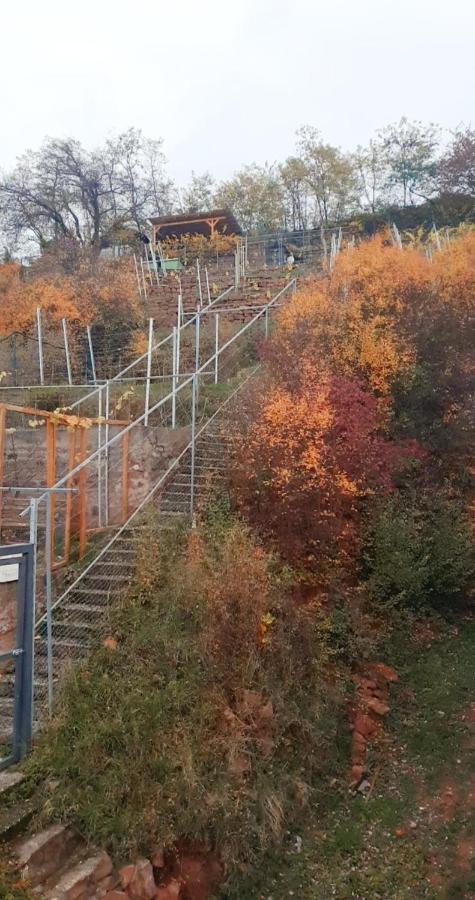 Apartmán Weinberg 16 Elsenfeld Exteriér fotografie